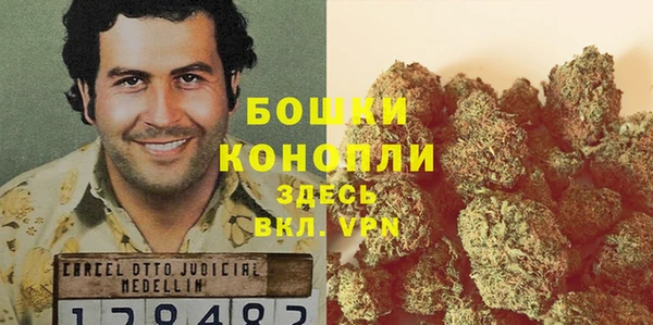 бошки Алексин