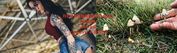 бошки Алексин