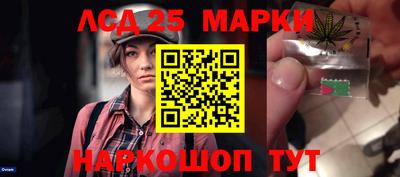 шишки Аргун
