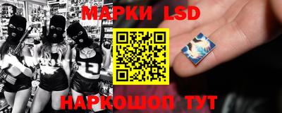 шишки Аргун