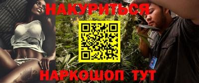 шишки Аргун