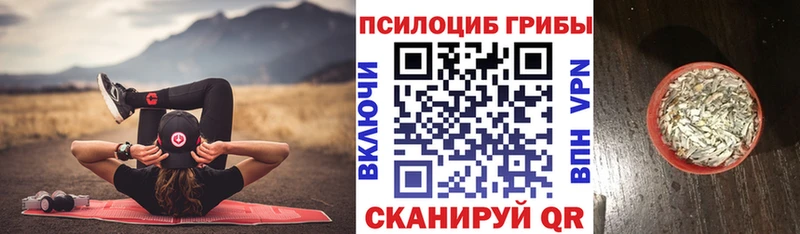 что такое наркотик Балаково гидра как войти Псилоцибиновые грибы Cubensis