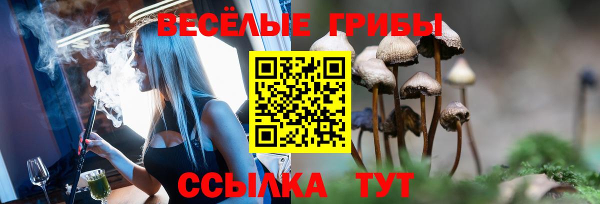 Галлюциногенные грибы ЛСД Балаково