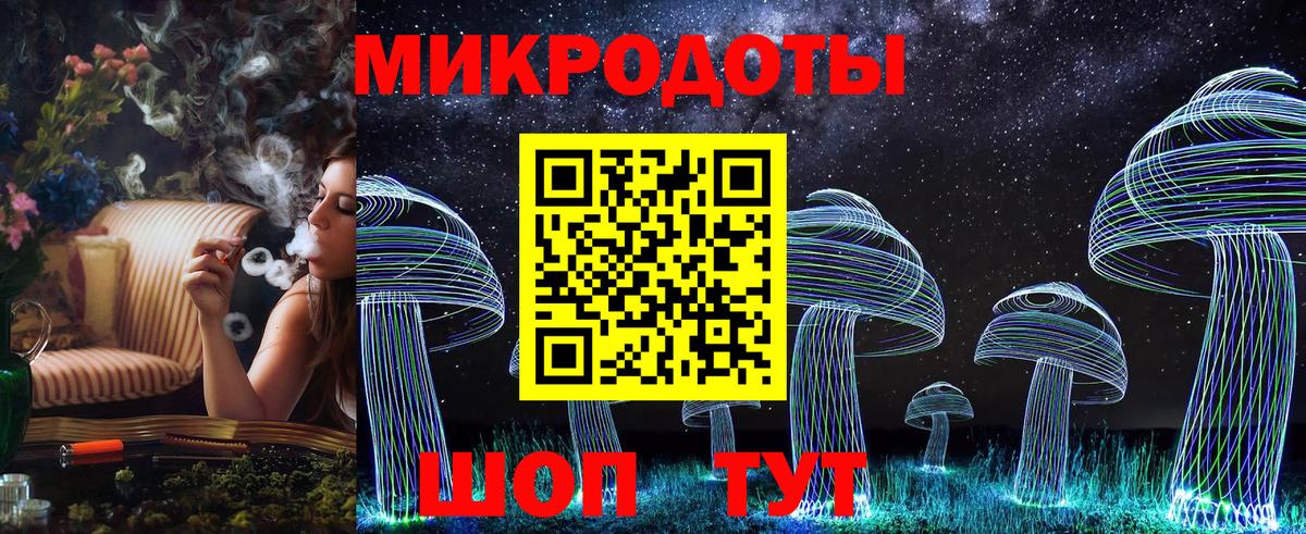 Галлюциногенные грибы Psilocybine cubensis Балаково